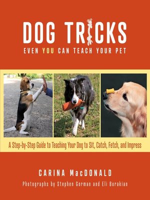 cover image of Dog Tricks Even You Can Teach Your Pet